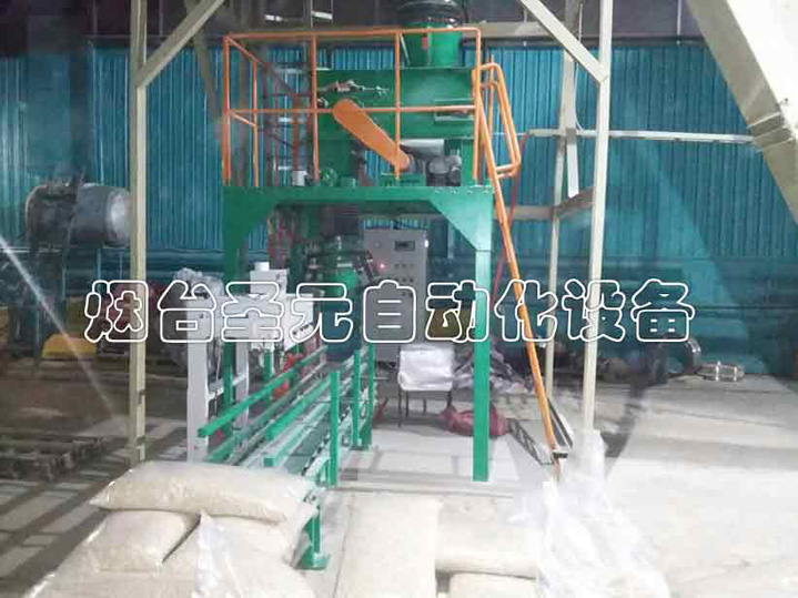 皮（pí）帶式毛重型包裝機圖（tú）