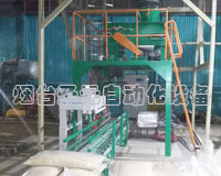 皮帶式毛重型包裝機（jī）