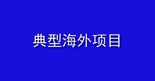 典（diǎn）型海外項目