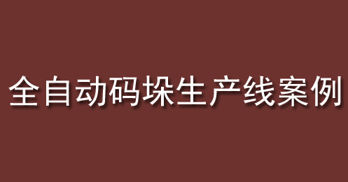全自動（dòng）碼垛生產線案例（lì） 